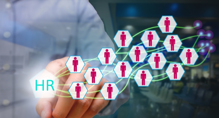 Required labor law posters displayed in an office breakroom