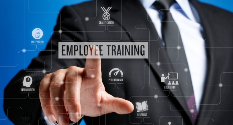 Reviewing employee benefits options with HR consultant